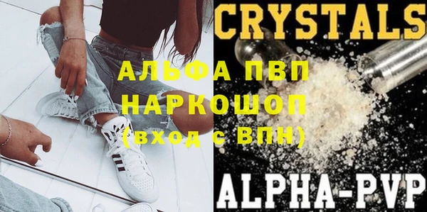 индика Алексин