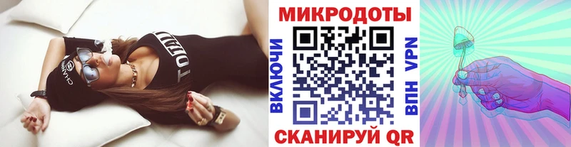 закладка  Элиста  Галлюциногенные грибы Psilocybine cubensis 